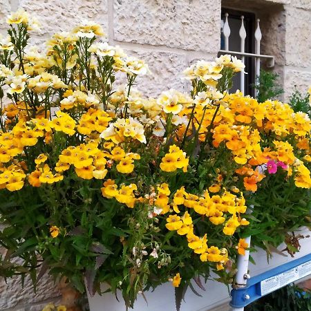 Cozy Garden Apartamento Jerusalém Exterior foto