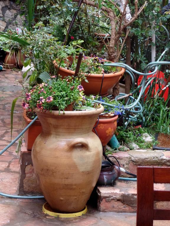 Cozy Garden Apartamento Jerusalém Exterior foto