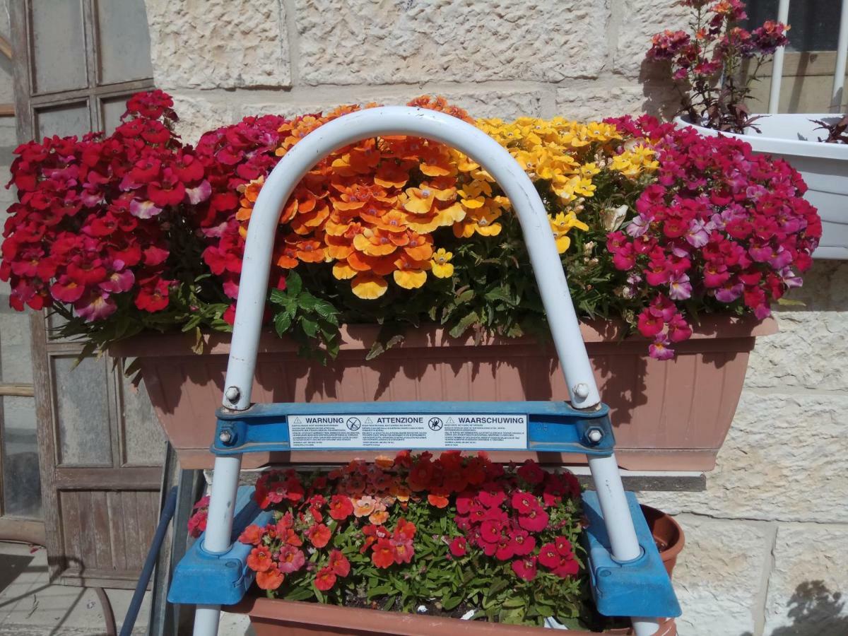 Cozy Garden Apartamento Jerusalém Exterior foto